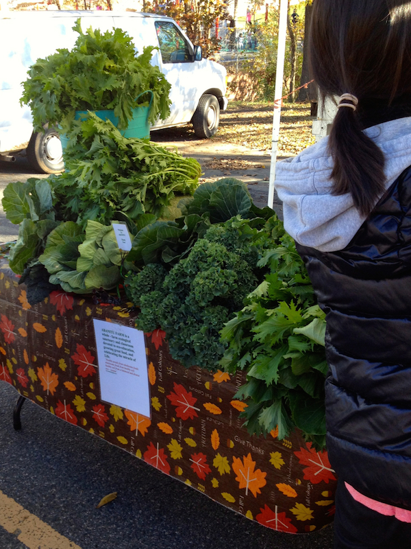 Winter Greens: The Durham farmers market had a great selection of organic vegetables, including these gorgeous greens.