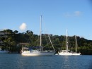 Sareda anchored in the lagoon at English Harbour, Antigua