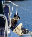 Anchorwatch: Tessie on dogwatch