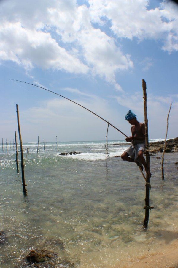 Stelzenfischer an der Suedkueste Sri Lankas