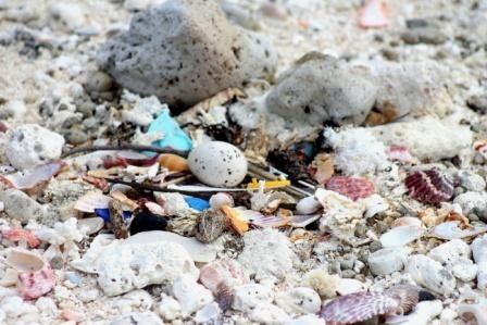 ...der Nachbar mag es Bunt und in Plastik, Huon Reef, Juli 2013