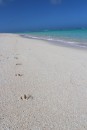 Spuren im Sand, Louisiaden, Papua New Guinea, Juli 2013