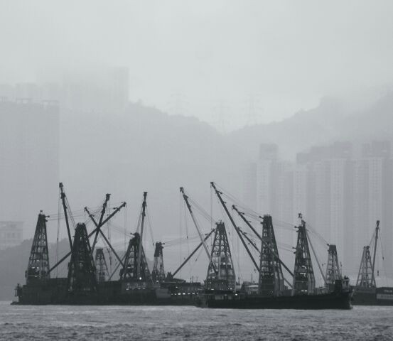Im Hafen, Koowloon, Hong Kong, August 2014