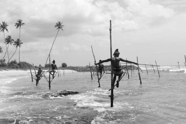 Stelzenfischer an der Suedkueste von Sri Lanka, Januar 2015