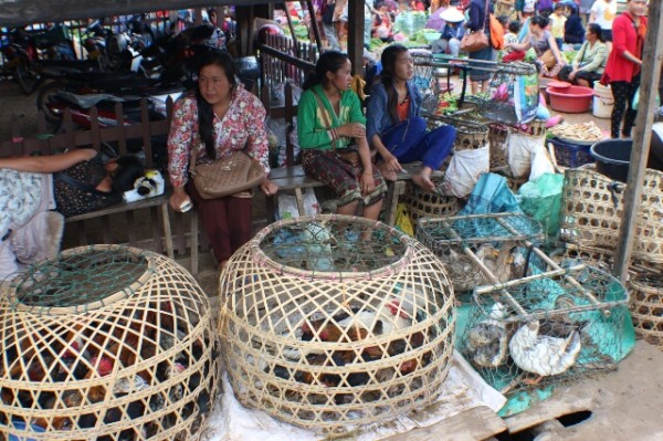 Auf dem Markt von Phongsavan. Juli 2014.