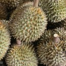 Durian Fruit. Stinkt unglaublich,schmeckt auch nicht besonders. Sieht aber gut aus. 