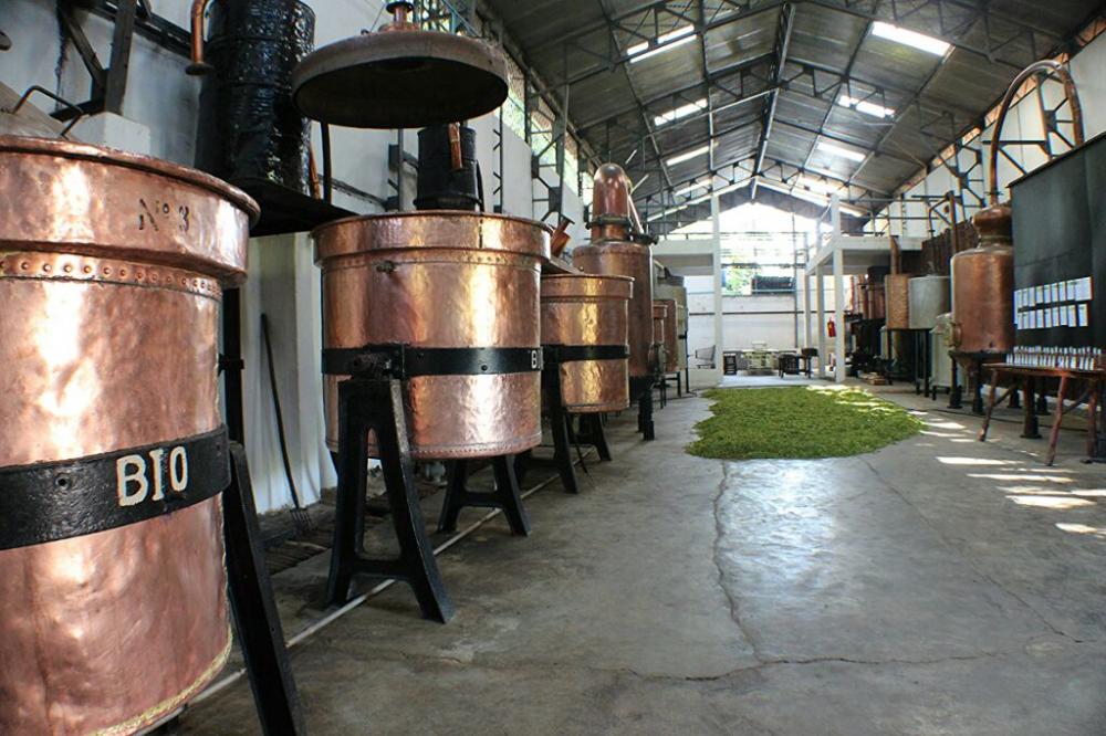 Ylang Ylang Destille auf Nosy Be