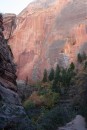 Absolutely beautiful Zion Park