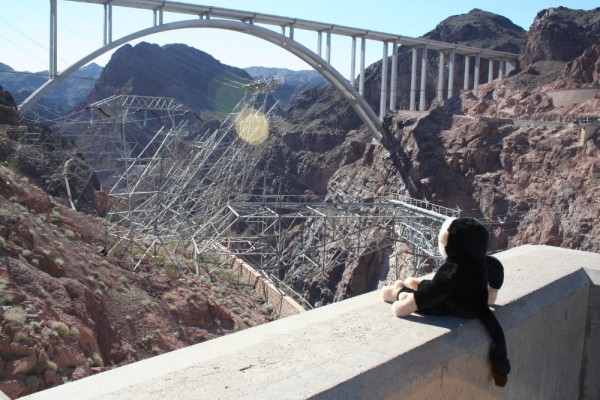 Our little friend Steve looking at the new Bridge by Hoover Dam
