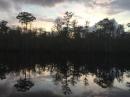 Evening in Waccamaw River
