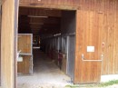 Big stable facility for ponies and horses in adjacent parkland