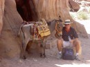 Frank, an EMYR leader, makes pals with a donkeyt.  Petra, Jordan.