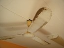 The rusty and dirty fan that jumped out and cut my fingers.