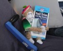 C-monkey is reading up on how to sail