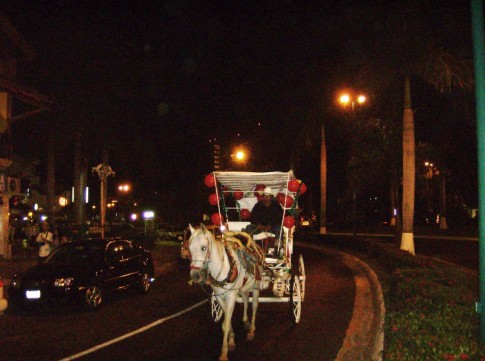 Carriage rides for Valentine
