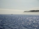 Fog rolling out at Bass Harbor