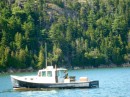 Lobsterman working in Somes Sound
