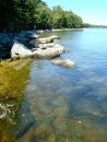 View of the shoreline at the cottage