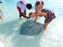 A.J. introduced us to his pet stingrays.  They are female, and according to A.J., females do not have barbs for stinging. 