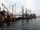 Fishing boats in Gloucester Harbor