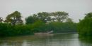 Vissersbootjes kom je ook af en toe tegen. Hier varen ze naar de kant en steken oesters van de mangrove wortels af.