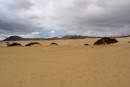De zandduinen in het noorden van Fuerteventura.