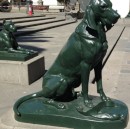 Honden (Canis in Latijn) aan de rand van het Plaza santa Ana. Hiernaar zijn de Canarische eilanden genoemd; er kwamen vroeger erg veel wilde honden voor. 