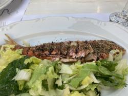 Red mullet and salad