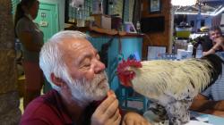 Feeding the rooster at Datca