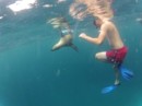 Matthew swimming with the sea lions