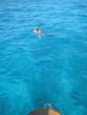 Diving the anchor is beautiful Bahama Bank crystal clear waters! It is a task that Wiley really "hates" to do - NOT!