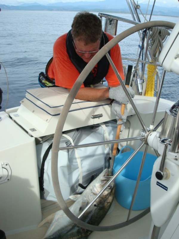 This is how you bring a fish aboard a sailboat. Very carefully...