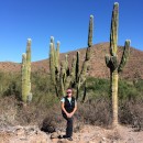 Cactus near San Evaristo