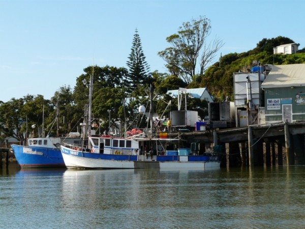 Mangonui is a quaint fishing village with an artsy twist. We enjoyed the small craft shops and watching the locals off loading catches while the visitors trying their luck at fishing off the docks!  