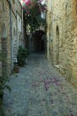 Bougainvillea beginning to fade, medieval town of Mesta, Chios Island 