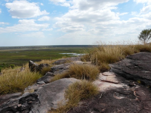 Vistas from the top of Ubirr Rock- as far as the eye can see!
