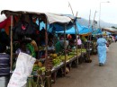Labasa Market