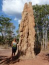 Termite mounds- this one is estimated to be over 50 years old!  These are like stationary cows, eating all the surrounding grass and keeping the area clean! They can survive the bushfires that are constantly burning here.