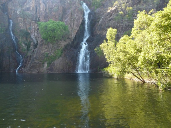 Wangi Falls- what a great swimming hole