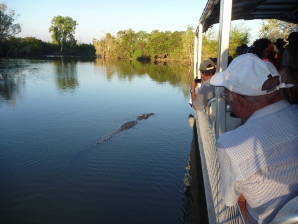 establishing his territory- this croc decides he needs to go in front of our tour boat. Guess who got to go first?!