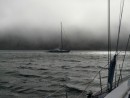 Polar Mist at anchor beside Paikea Mist, in the mist