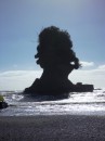 Bad hair day, West Coast South Island near Pancake Rocks