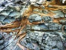 "Waffle rocks"- amazing rock formations found in the rocky shoreline just off the DOC campsite, Caitlins