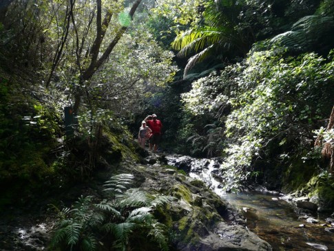 Waterfall Hike, Ports Fitzroy with Sherry and Gordon from S/V Serenity