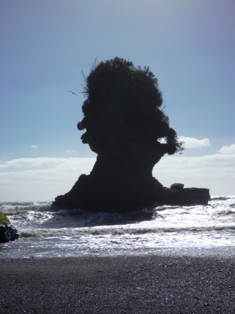 Bad hair day, West Coast South Island near Pancake Rocks