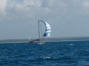 Solo French sailor Jean Marc on Shangralai with Spinnaker flying off the Queensland coast!