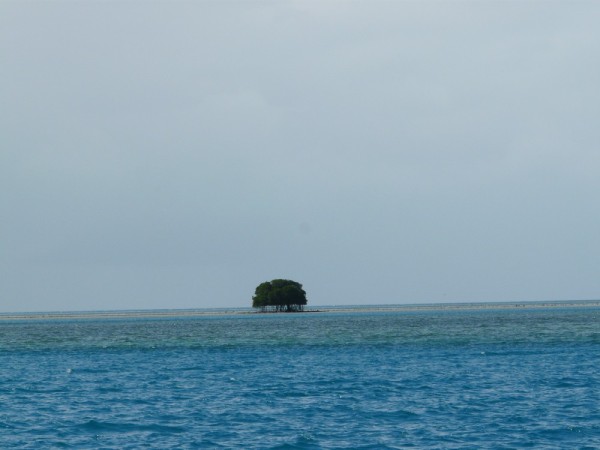 Reefs, mangroves, sand, rocks, islets, islands and shallow waters (usually under 70 feet) make for pay attention navigating