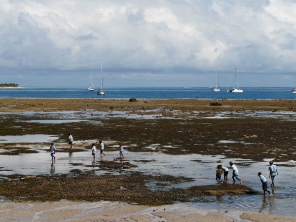 school kids playing at low tide