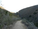 hilly run on the Del Norte Loop Hiking trail