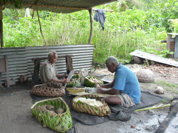 Traditionally the men prepare the tarro root, her grinding cassava for flour.